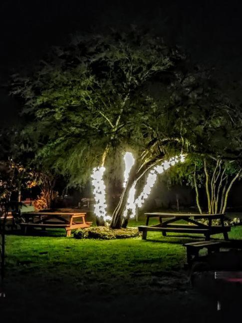 Top Of The Hill Rv Resort & Cabins Waring Εξωτερικό φωτογραφία